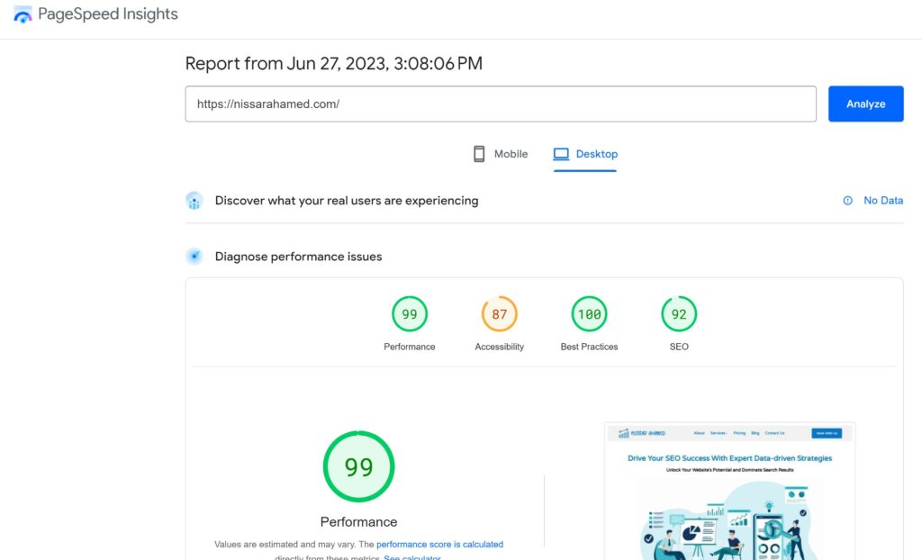 PageSpeed Insights Report Example