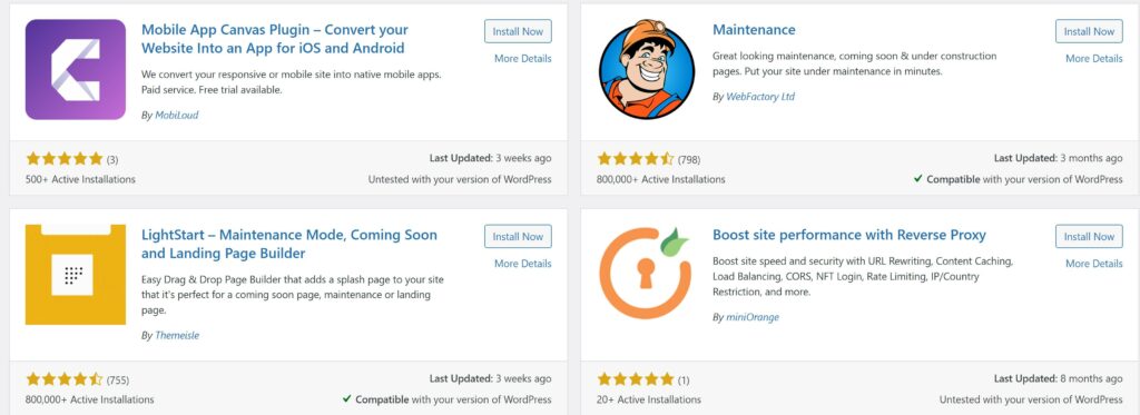 WordPress Plugins Website Maintenance