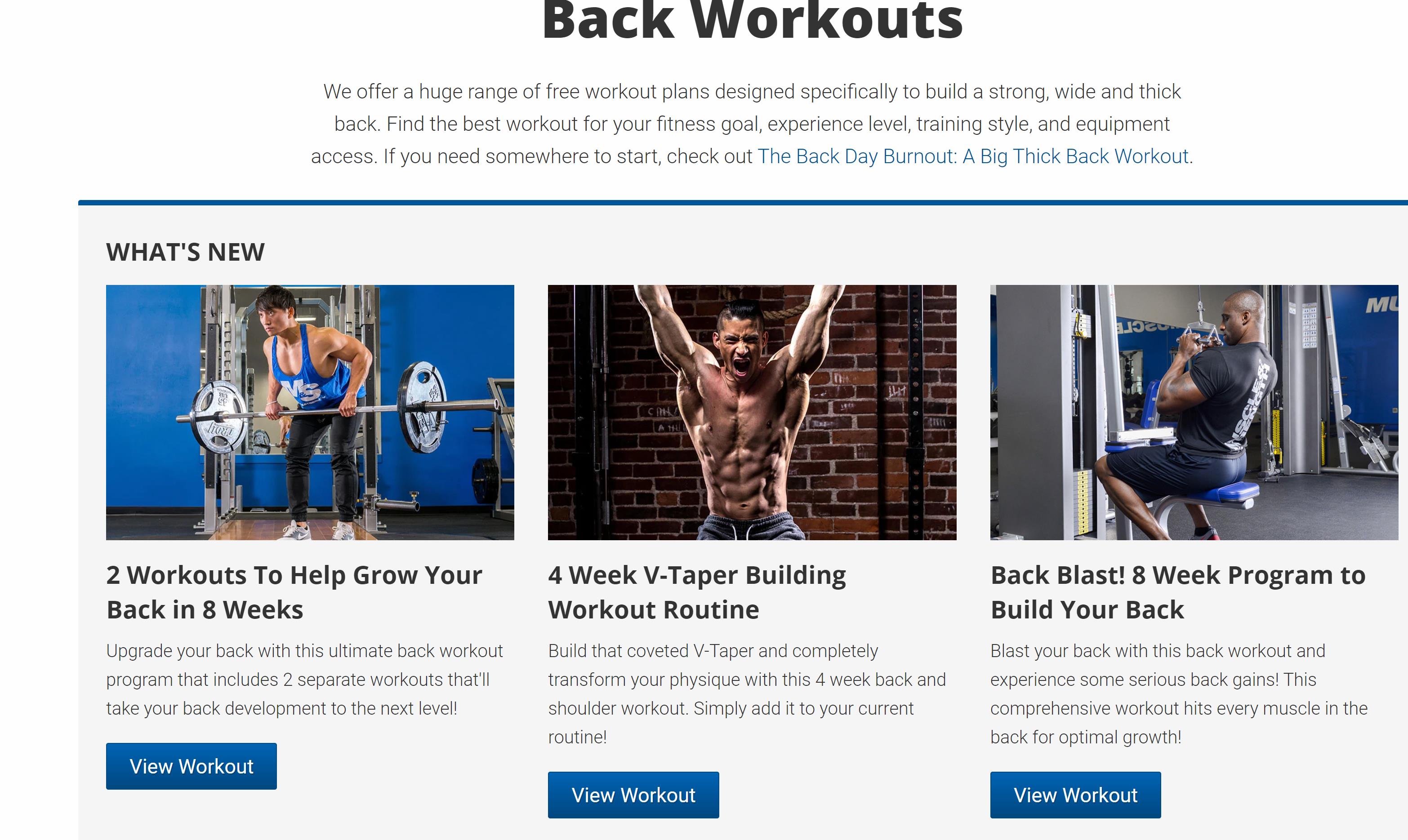 Muscle and Strength Back Workouts Page